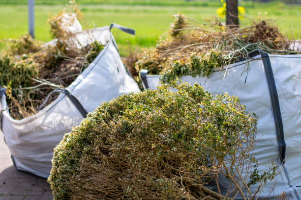 Reliable Stony Brook University, NY Junk Removal Solutions