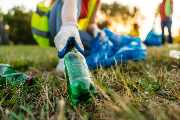 Best Estate Cleanout Services  in Sto Brook University, NY