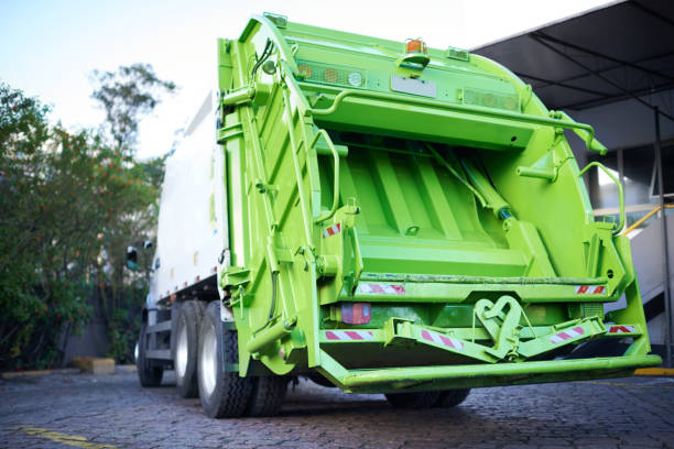 Yard Cleanup Services in Stony Brook University, NY